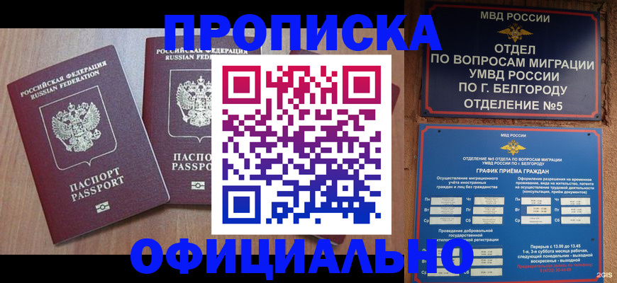 найти адрес прописки в Московской области